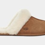 ugg israel