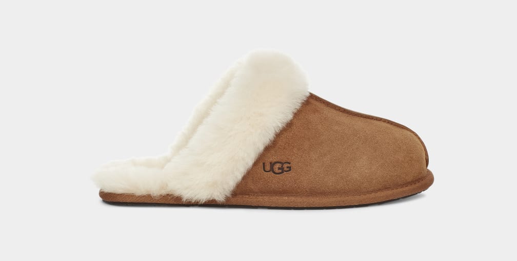 ugg israel