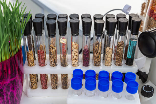 Seed Industry Analysis